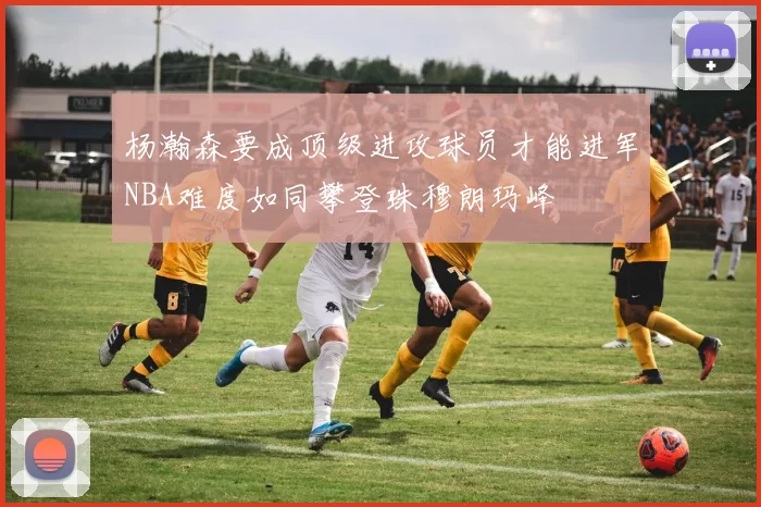 杨瀚森要成顶级进攻球员才能进军NBA难度如同攀登珠穆朗玛峰