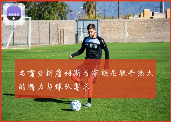 名嘴分析詹姆斯与布朗尼联手热火的潜力与球队需求