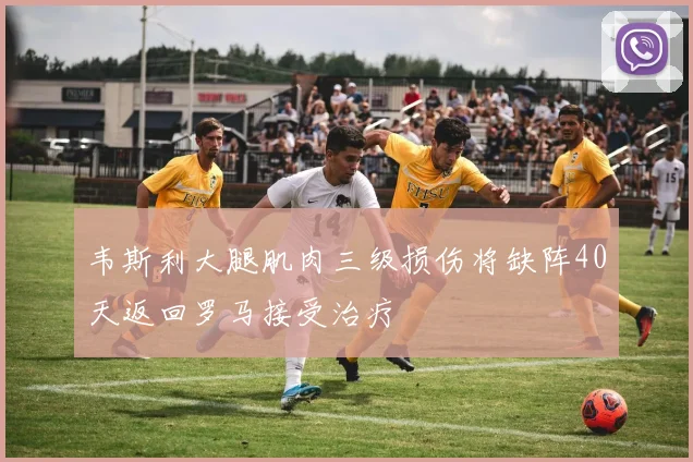 韦斯利大腿肌肉三级损伤将缺阵40天返回罗马接受治疗