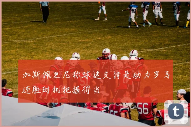 加斯佩里尼称球迷支持是动力罗马连胜时机把握得当